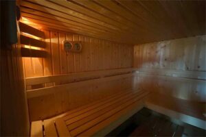 Natuurhuisje met sauna in Vaassen