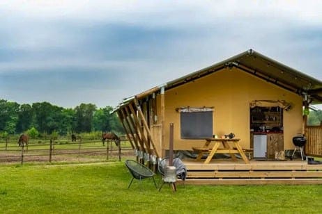 Glamping Twente met paarden - Holzik Stables