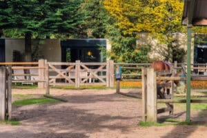 Center Parcs Het Meerdal - ponyvakantie