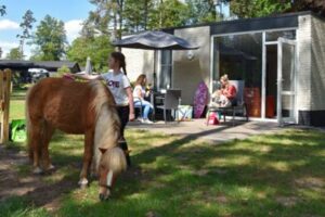 Vakantie met verzorgpony - Pony bungalow Ommerland
