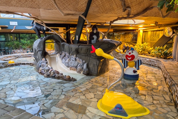 Center Parcs Het Meerdal - Aqua Mundo - Kinderbadje