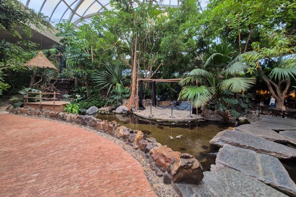 Center Parcs Het Meerdal Review - Market Dome binnen